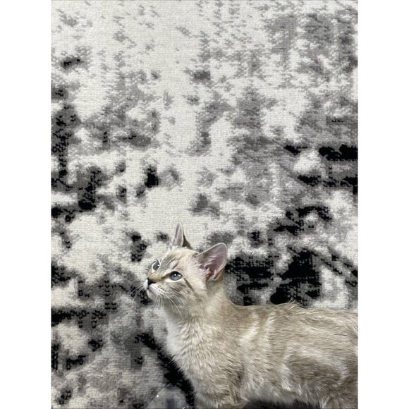 Tail Tech Capri Pants Womens Size 6 Gray Performance Stretch Casual‎ Athleisure - Picture 13 of 16